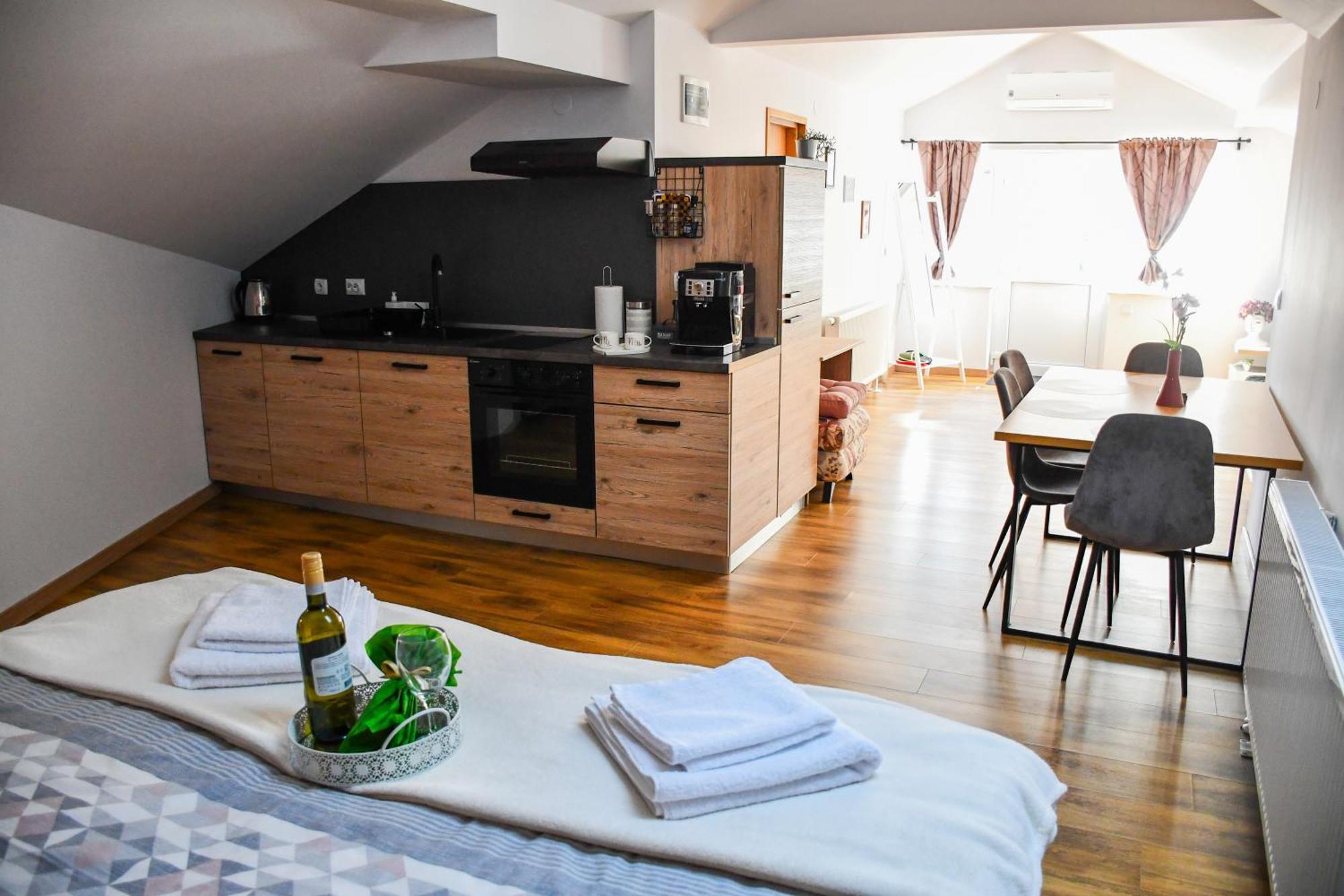 Studio Apartment Oaza Sisak Zewnętrze zdjęcie